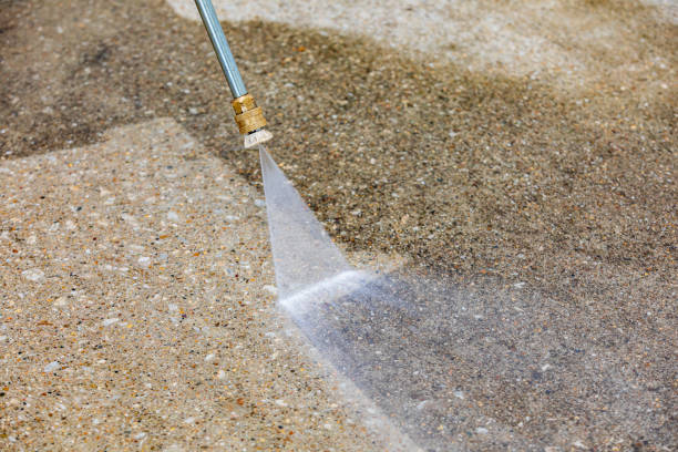 Best Roof Washing  in Hampden Sydney, VA
