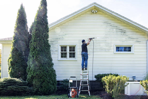 Best Sidewalk and Walkway Cleaning  in Hampden Sydney, VA