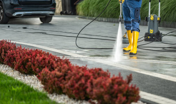 Best Rust Removal  in Hampden Sydney, VA